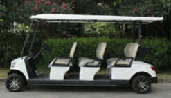 Xe Điện 4 Bánh Marshell DG-M6 Cao Cấp Chạy Pin Leoch