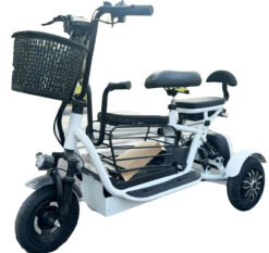 Xe Điện 3 Bánh Mini Có Số Lùi