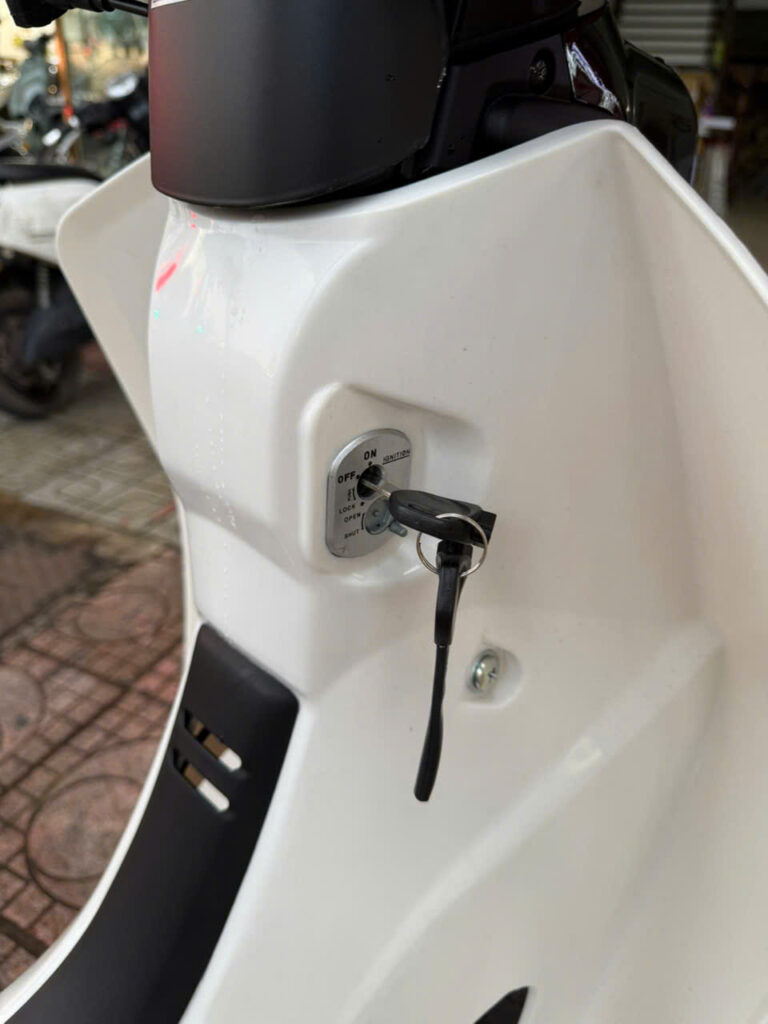 Tay lái, baga và yếm xe