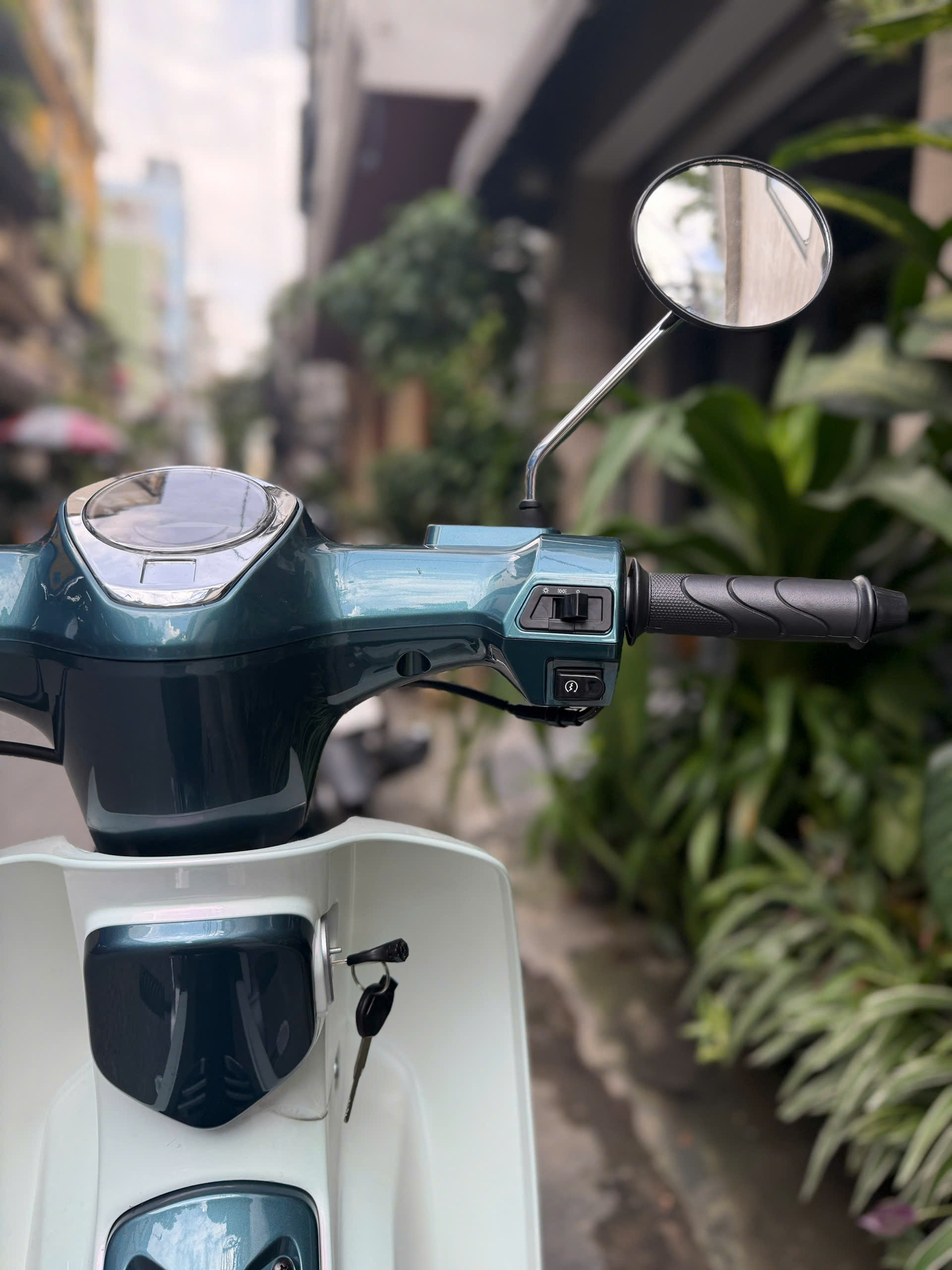 z7137050900040_684353ad102c97ebc61c6d7a215ab388