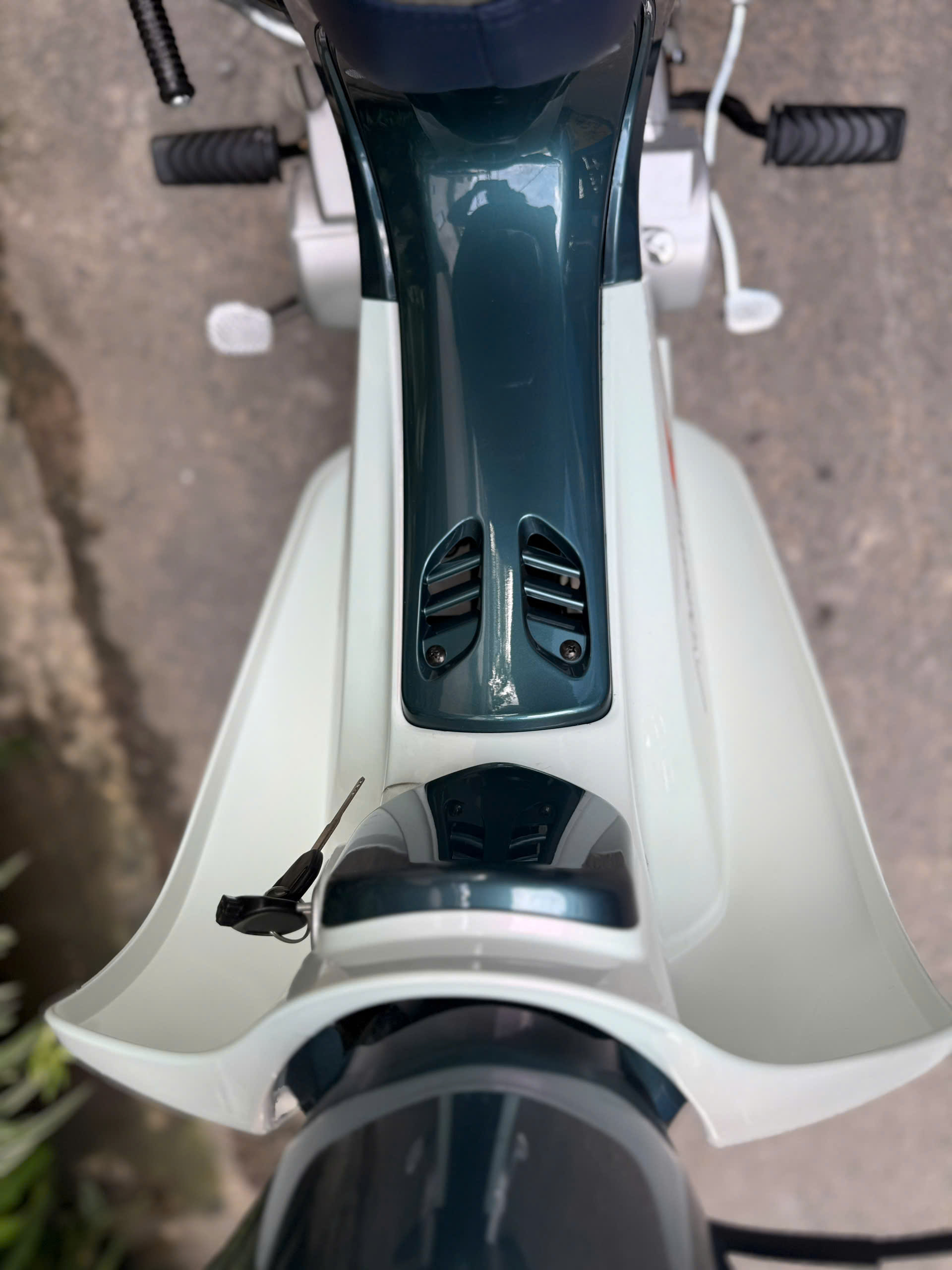 z7137050929019_263f303342a12a37800bc0a31f06d1df