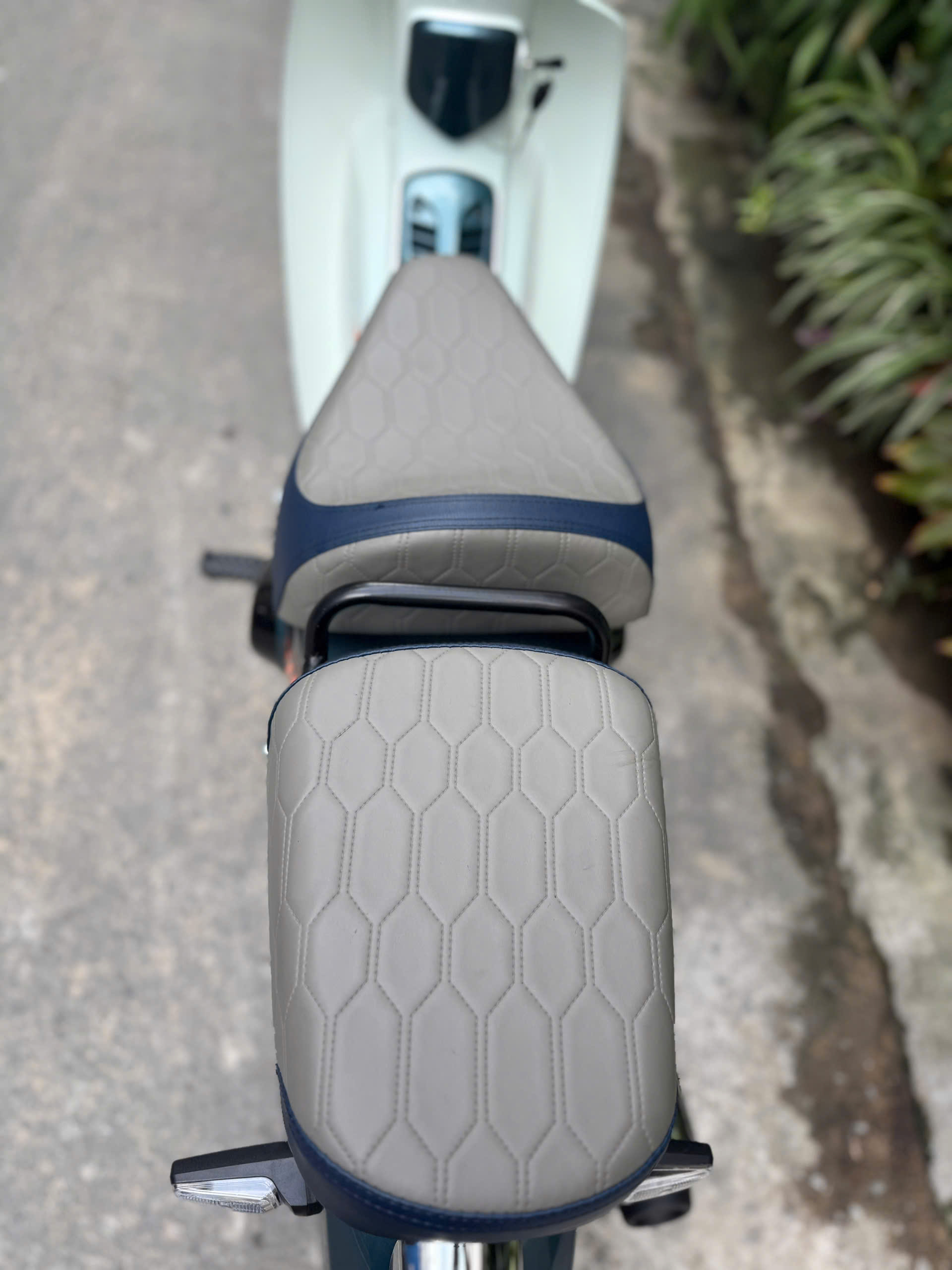 z7137050944541_89c7c8ac6e59945038d9c1a9d34c72f0