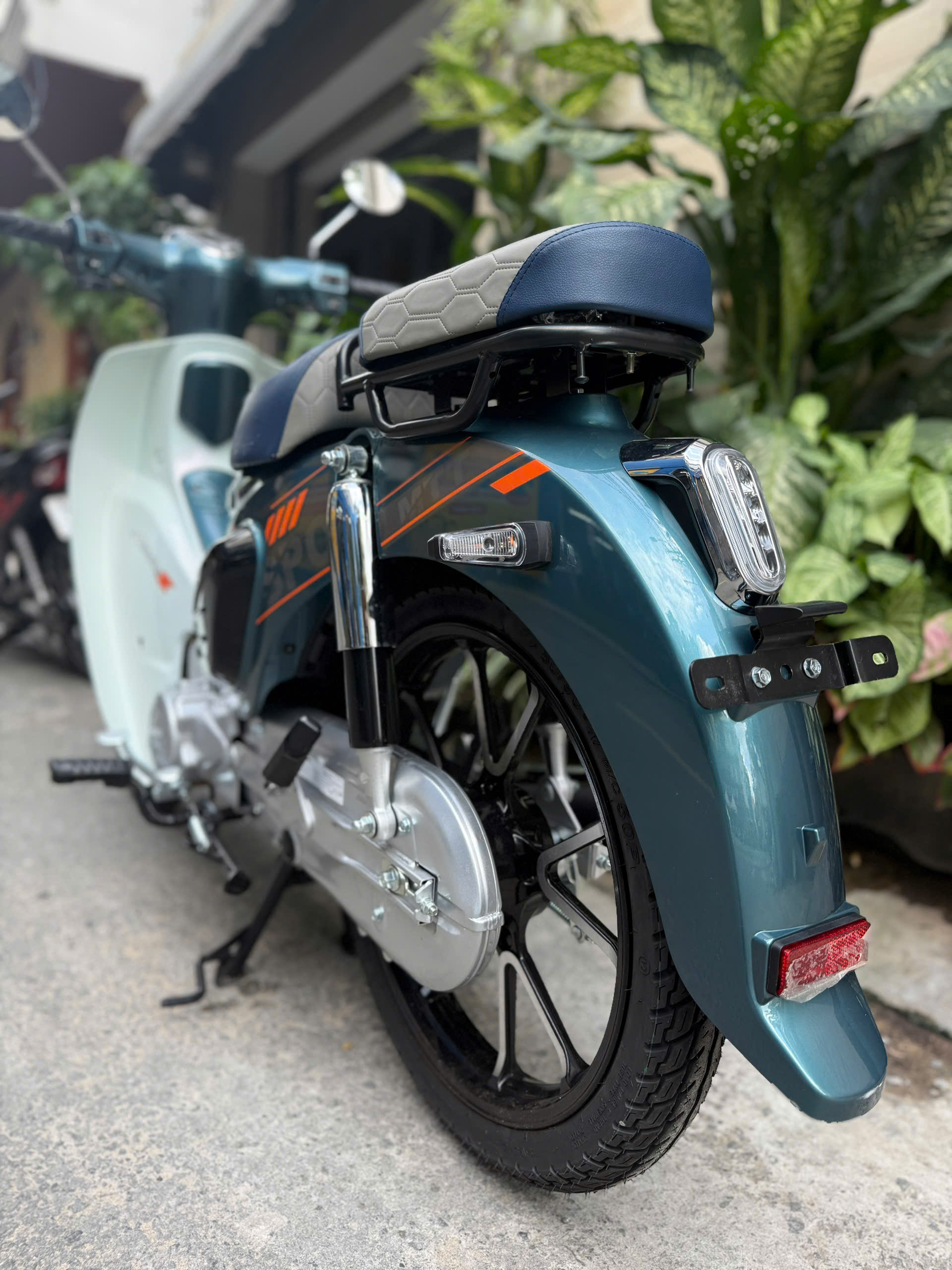 z7137051023697_40184da62b9476fb9ac066de6129a560