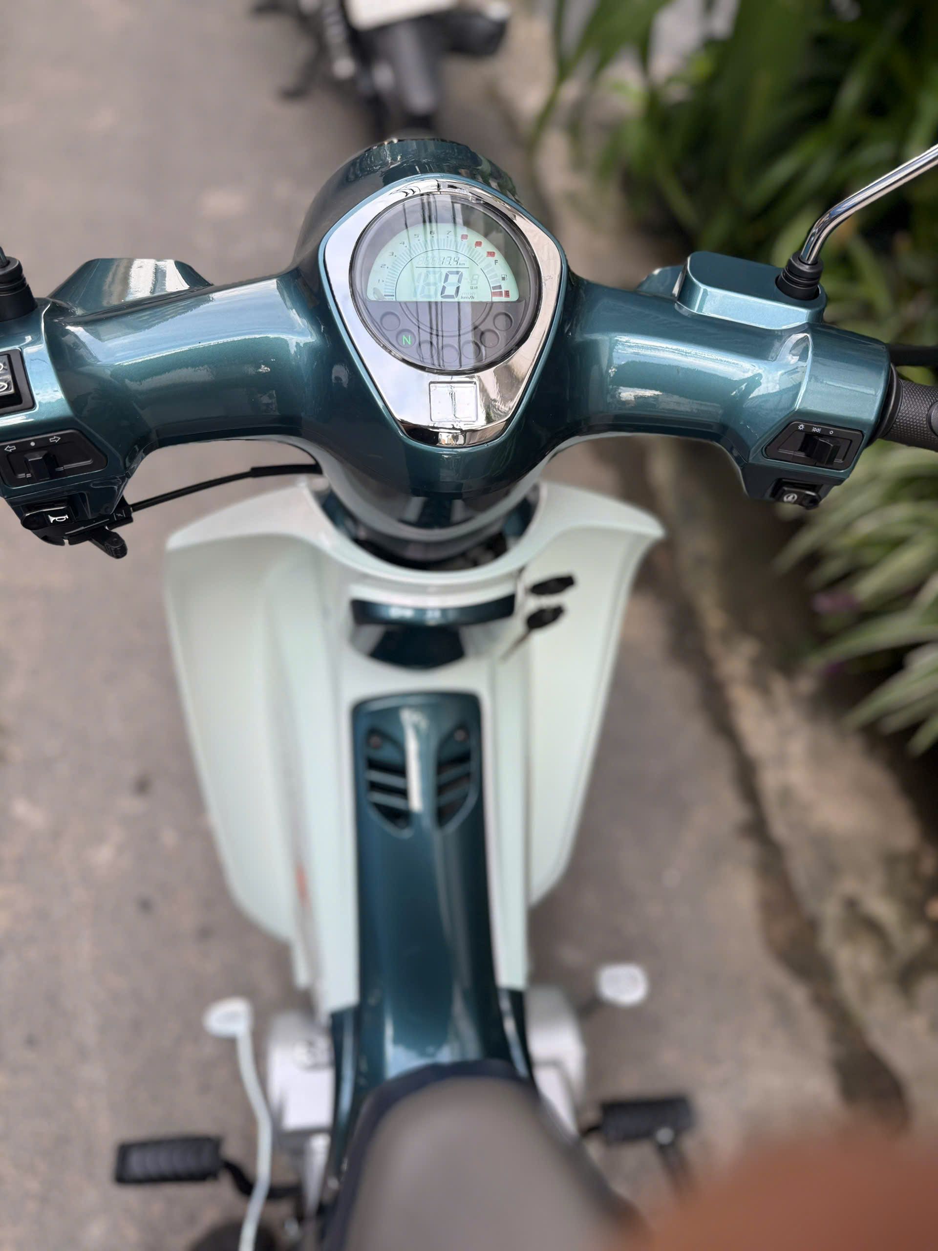 z7137051030558_33f2b078269958397f38a9ea1d45a44f