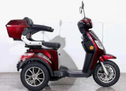 Xe Điện 3 Bánh 1 Chỗ Ngồi Cao Cấp