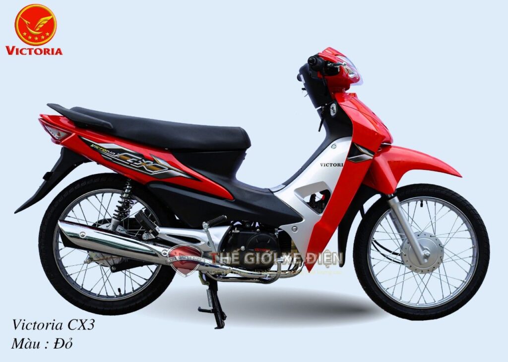 Không cần bằng lái, không vi phạm, được nhà trường cho phép