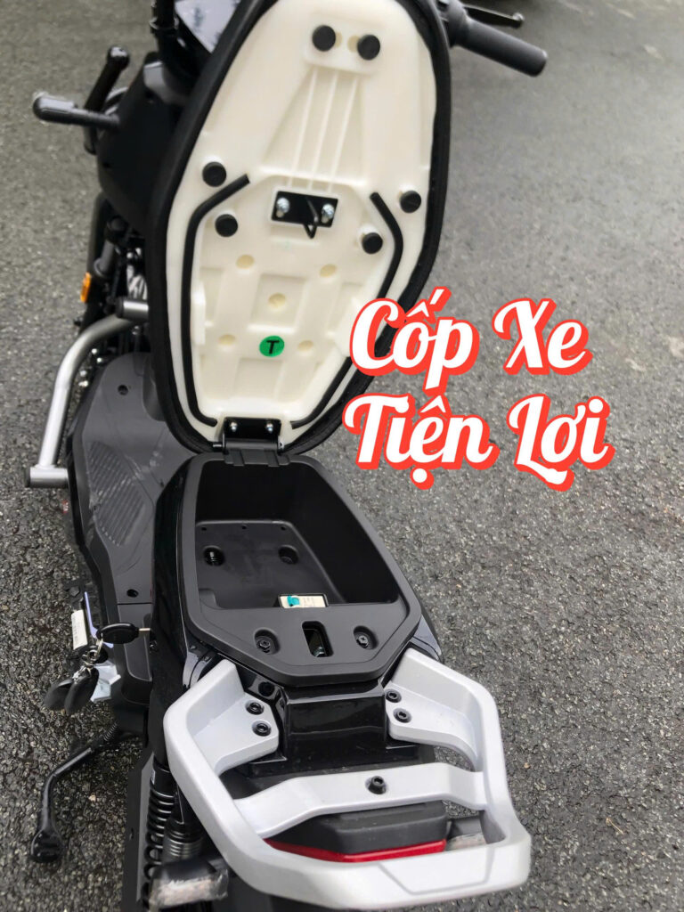 X e đạp điện Tailg Discovery X51 có sơn tĩnh điện