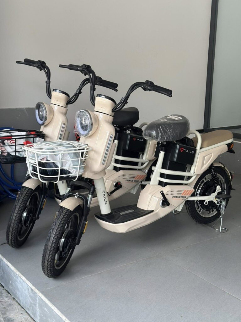 Xe Đạp Điện Tailg JY34 chinh phục người dùng bằng sự ổn định