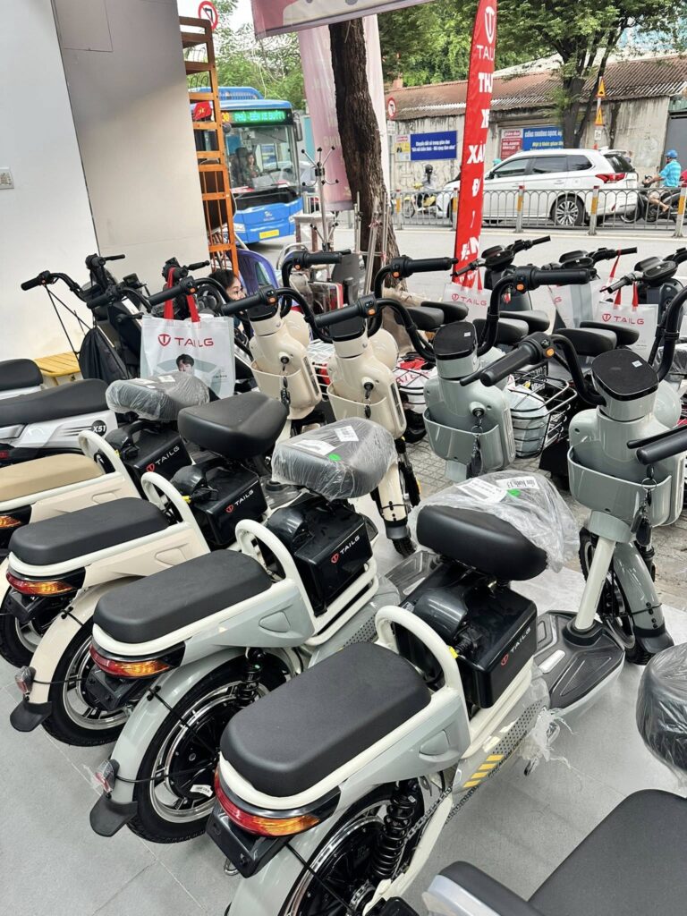 Xe Đạp Điện Tailg JY34 