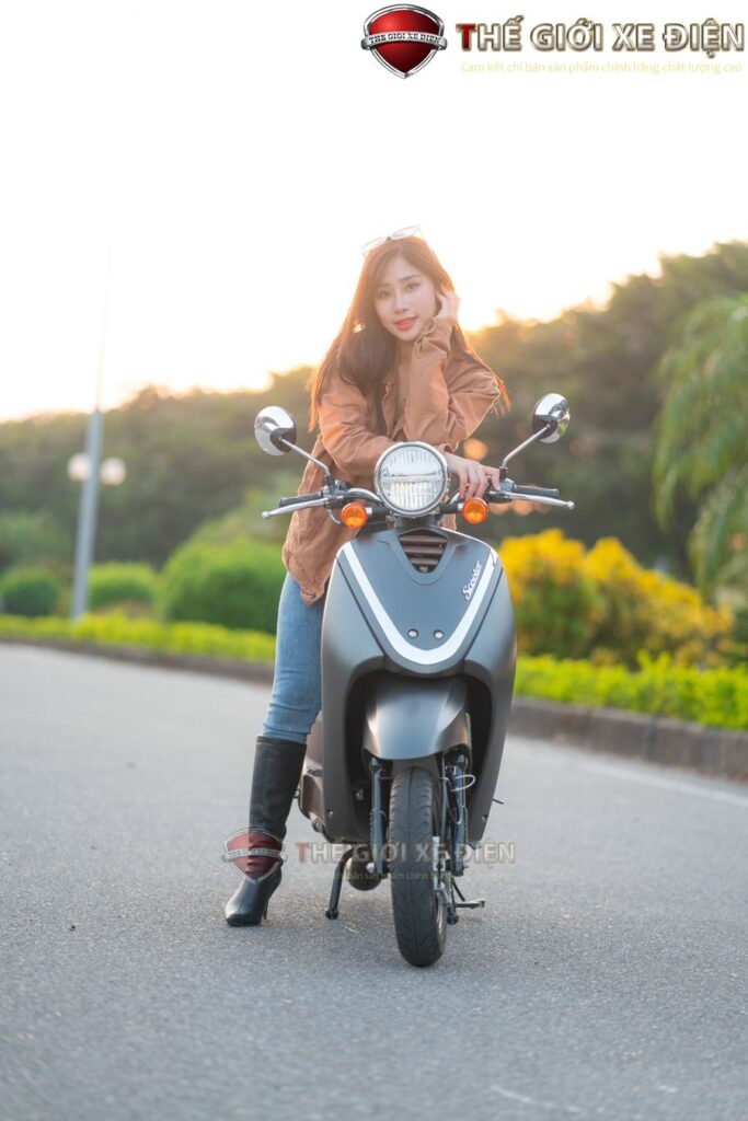 Hệ thống phanh tang trống trước/sau