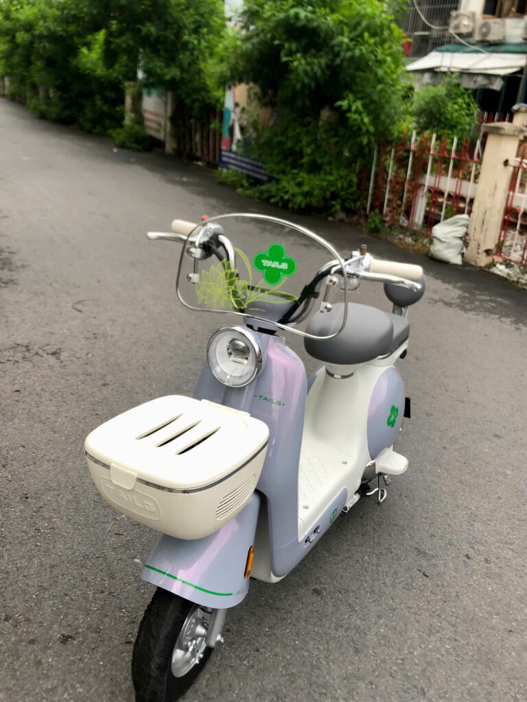 Xe Đạp Điện Tailg Princess JS50 (Đầy Đủ Giấy Tờ)