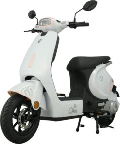 Xe Đạp Điện Tailg GR56 Đầy Đủ Giấy Tờ