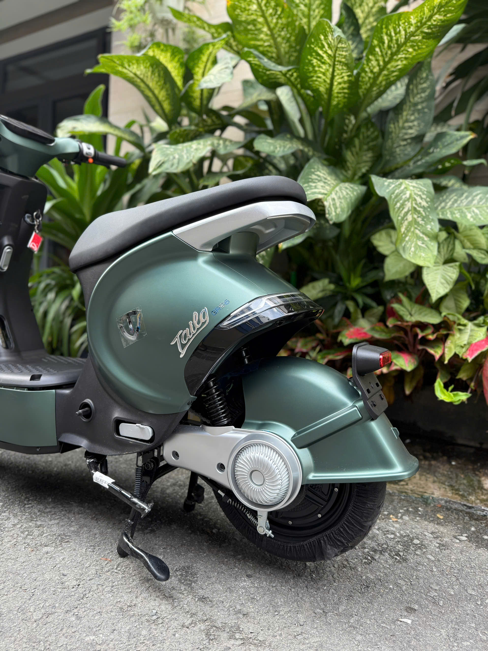 Xe đạp điện Tailg GR56 2