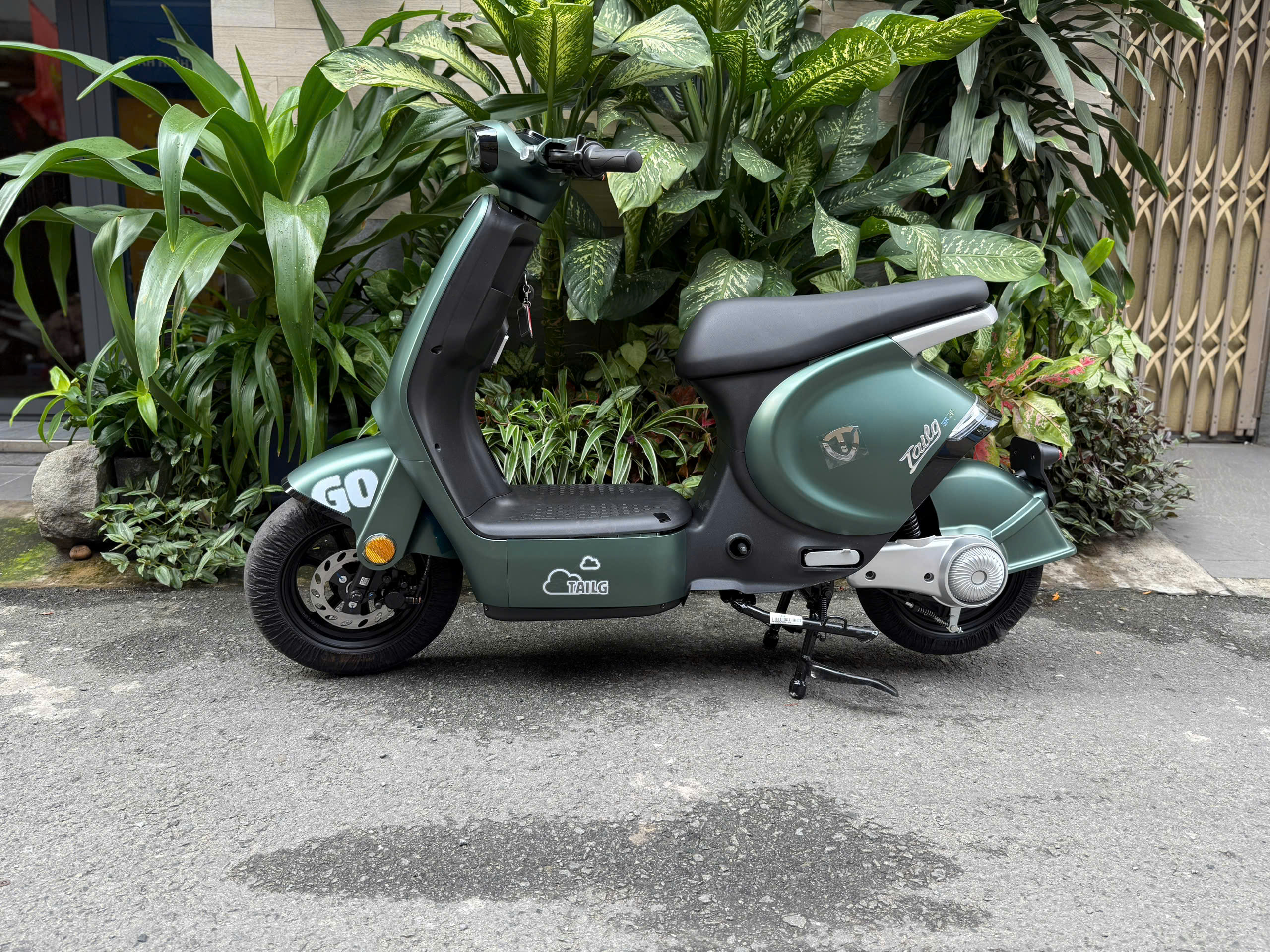 Xe đạp điện Tailg GR56