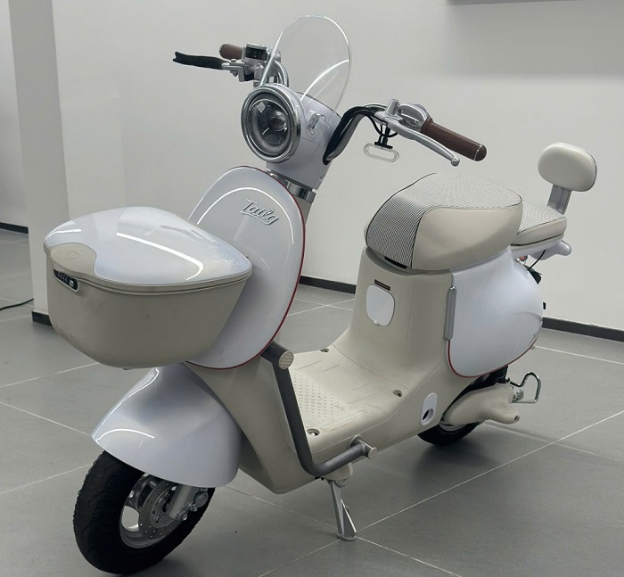 Xe Đạp Điện Tailg GR54