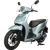 Xe Máy Điện Tailg T61